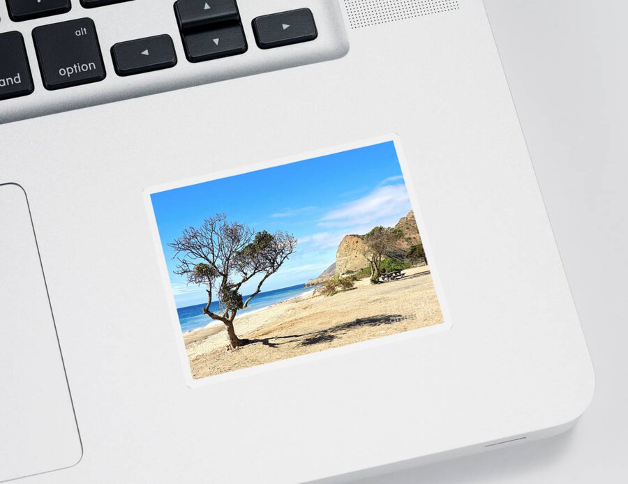 Mugs Rock Sticker featuring the photograph Tree Fronting Mugu Rock by Beth Myer Photography