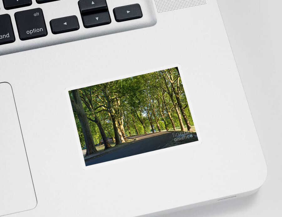France Sticker featuring the photograph Tree-lined Avenue by Brian Jannsen