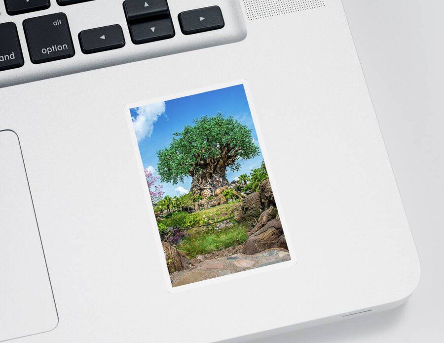 Tree Of Life Sticker featuring the photograph Tree of Life by Pamela Williams