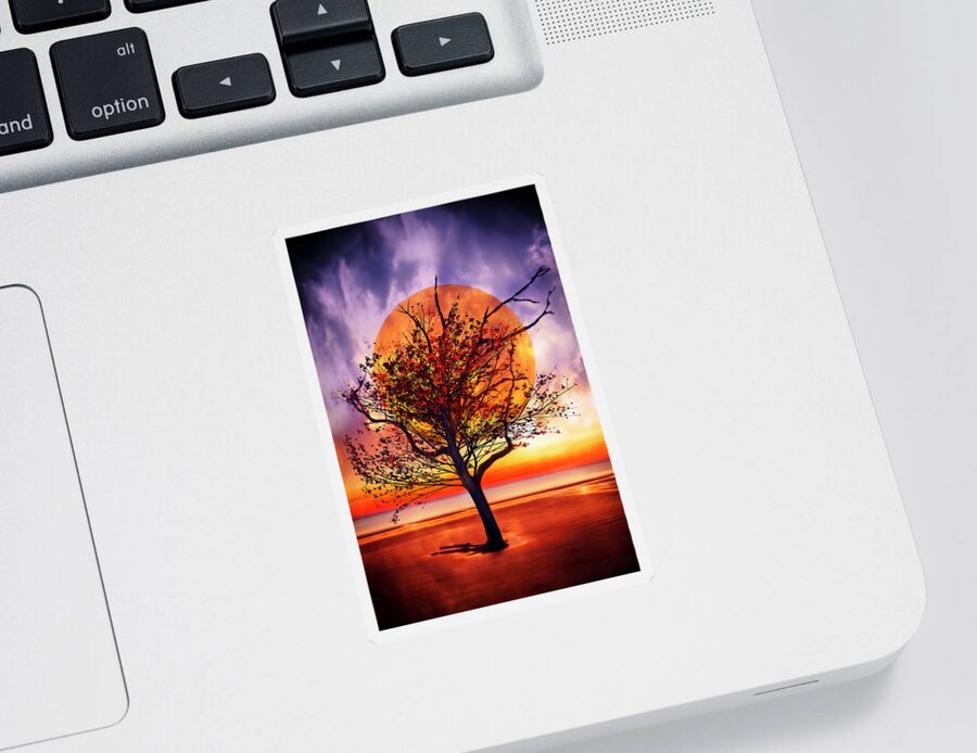 Clouds Sticker featuring the photograph Tree on Fire by Debra and Dave Vanderlaan