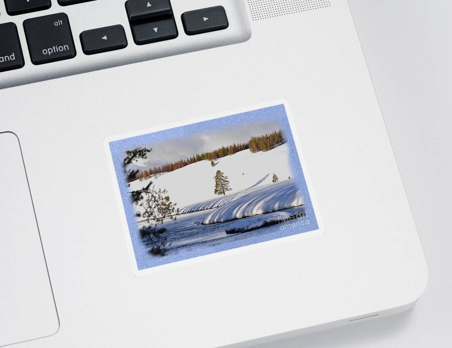 Yellowstone National Park Sticker featuring the photograph Tree Shadows along the Madison by Kae Cheatham