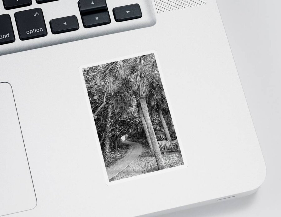 Bathtub Beach Sticker featuring the photograph Tree Tunnel 2, Black and White by Liesl Walsh