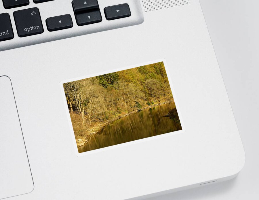 Golden Sticker featuring the photograph Trees and water by Stephen Taylor