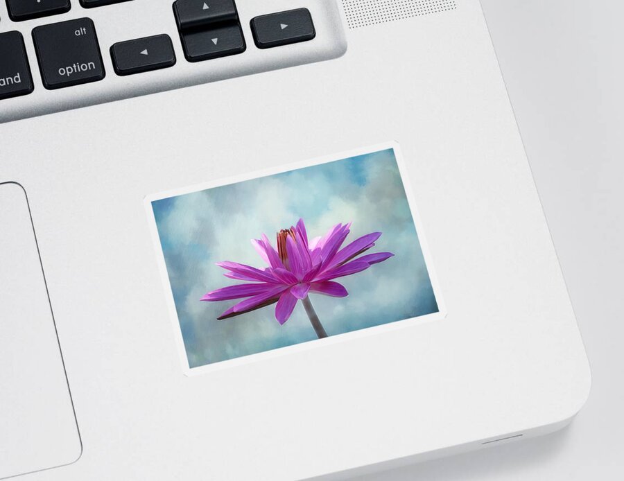 Pink Water Lily Sticker featuring the photograph Tropical Beauty by Kim Hojnacki