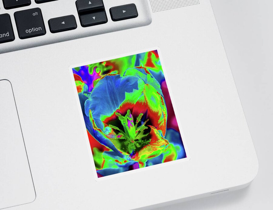 Tulip Sticker featuring the photograph Tulips - Beauty In Bloom - PhotoPower 3416 by Pamela Critchlow