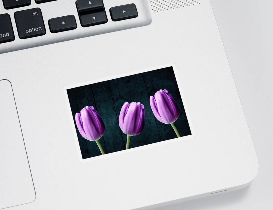 Tulip Sticker featuring the photograph Tulips On Wood by Johanna Hurmerinta