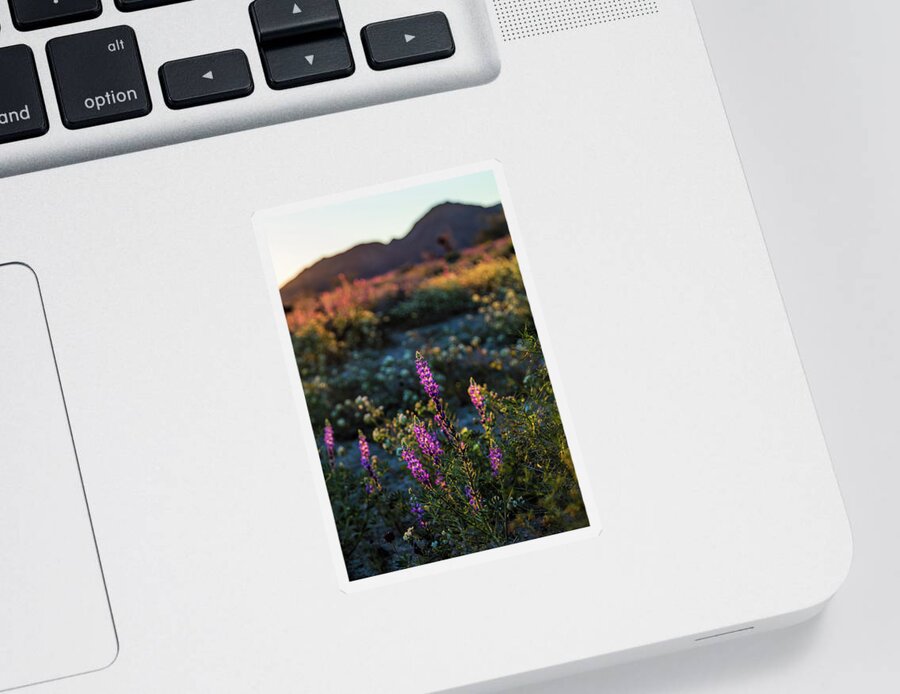 Landscape Sticker featuring the photograph Twilight Lupine by Laura Roberts