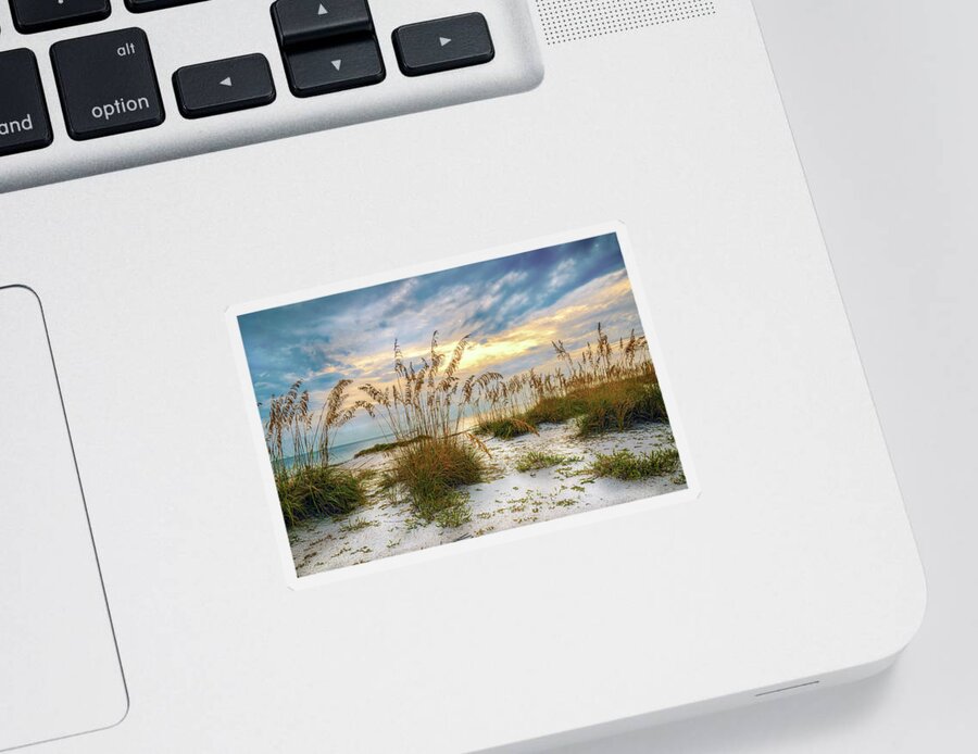 Beach Sticker featuring the photograph Twilight Sea Oats by Steven Sparks