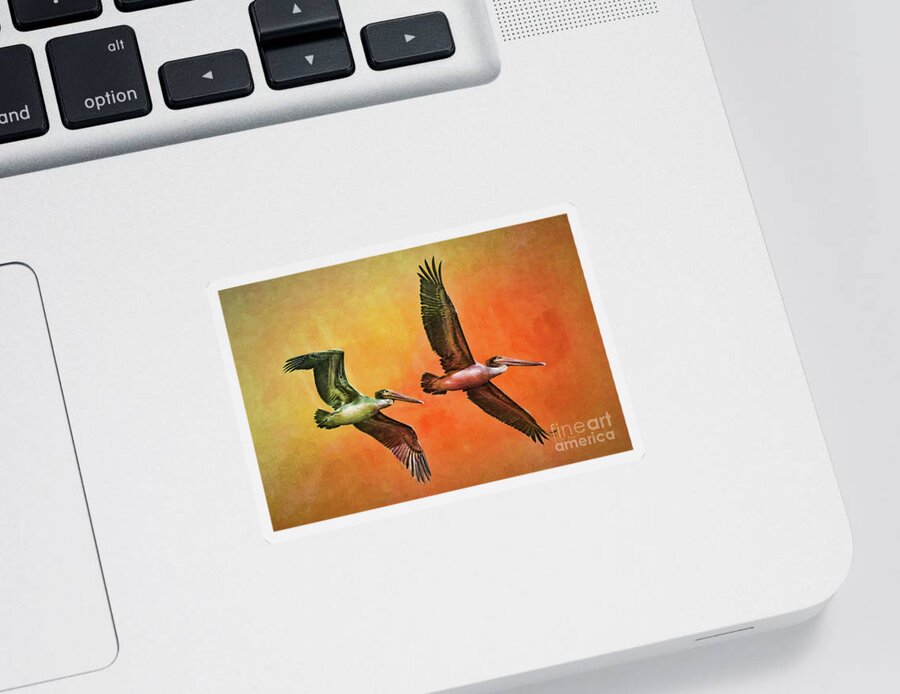 Pelicans Sticker featuring the painting Twin Flight by Deborah Benoit