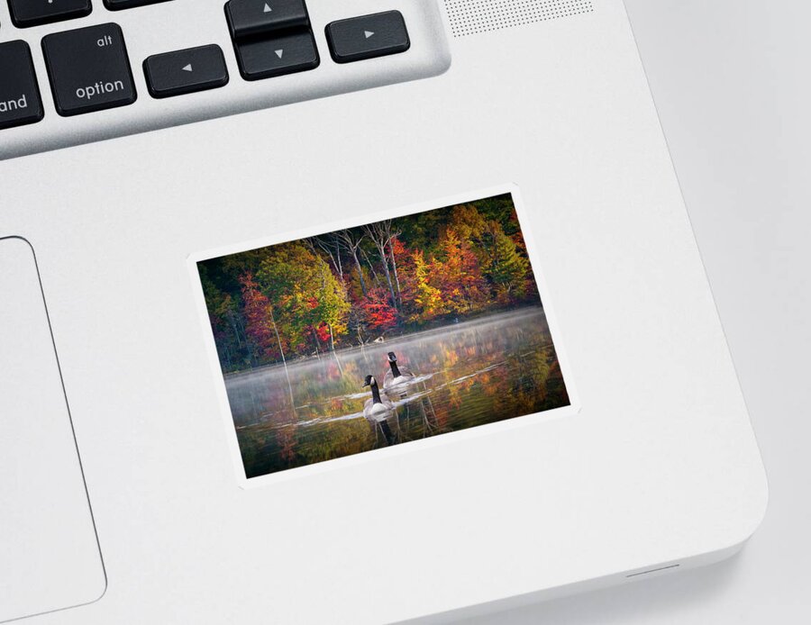 Canada Sticker featuring the photograph Two Canadian Geese swimming in Autumn by Randall Nyhof