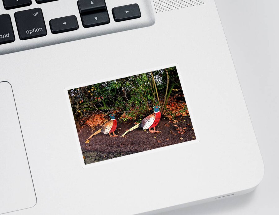 Creativity Sticker featuring the photograph Two pheasants on the sidelines by Marina Usmanskaya