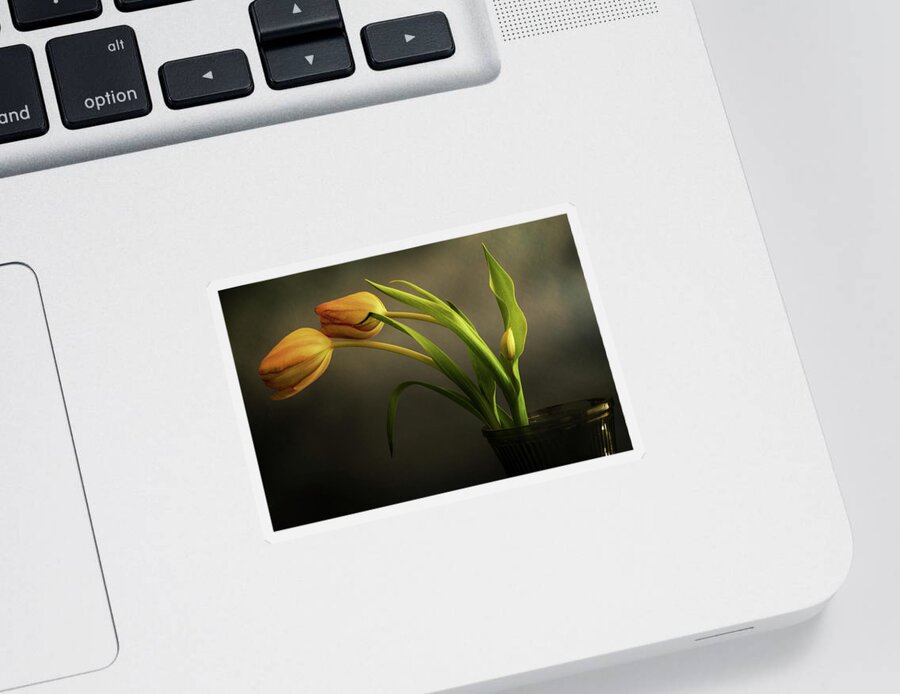 Tulips Sticker featuring the photograph Two Plus by John Anderson