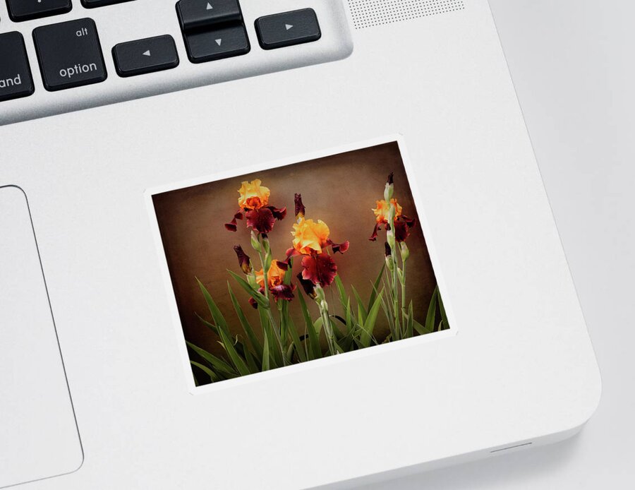 Bearded Iris Sticker featuring the photograph Two Toned Bearded Iris by Leslie Montgomery