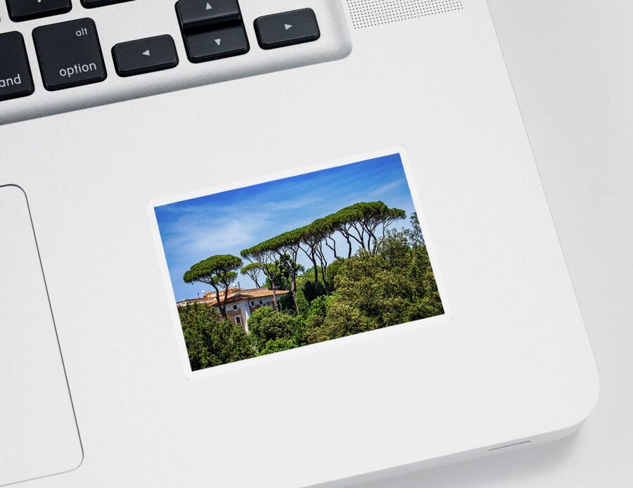 Umbrella Trees In Rome Sticker featuring the photograph Umbrella Trees in Rome by Carolyn Derstine