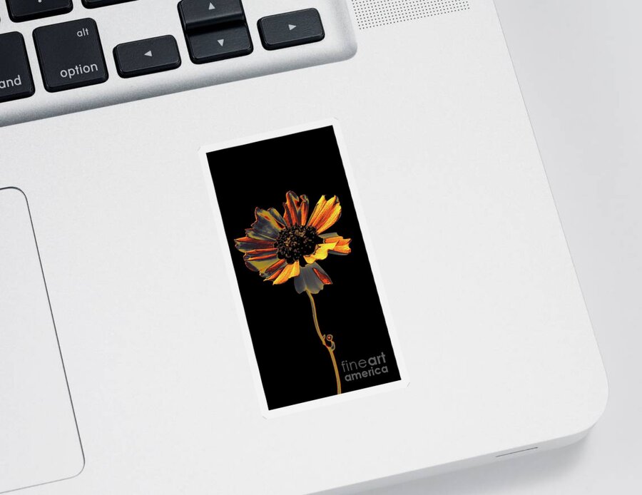 Flower Sticker featuring the photograph Uniquely Solo by Dani McEvoy