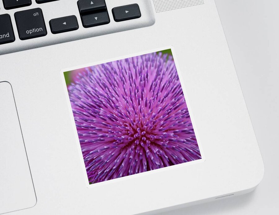Photograph Sticker featuring the photograph Up Close on Musk Thistle Bloom by M E