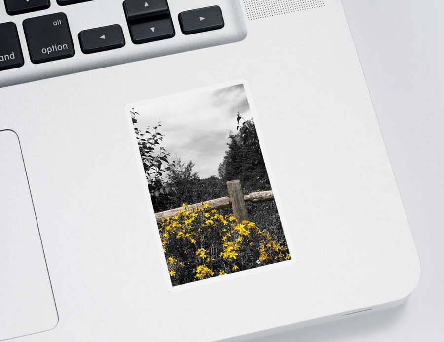 Landscape Sticker featuring the photograph UP Post II by Dylan Punke
