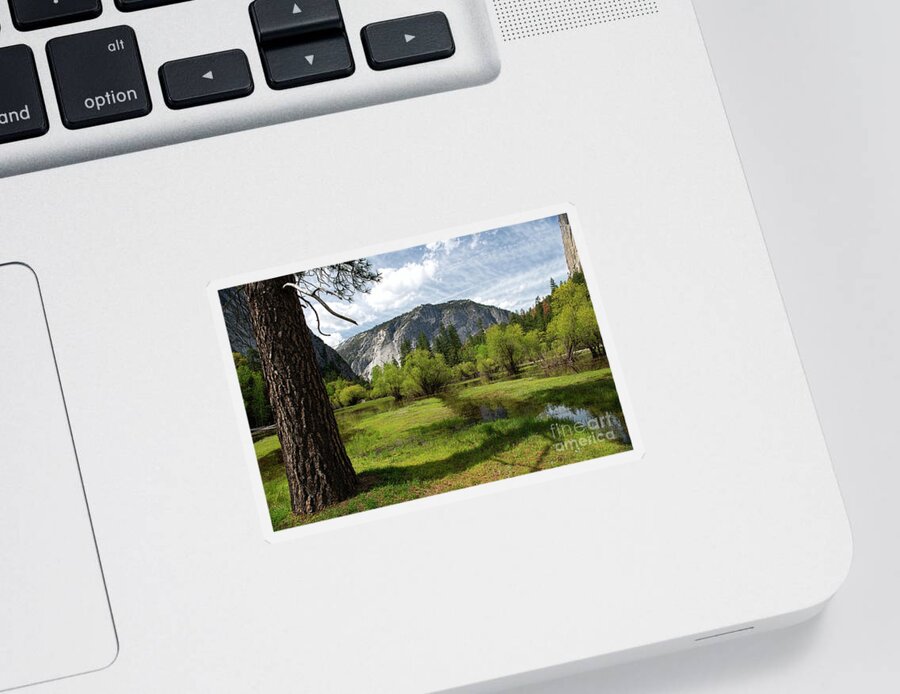 Meadow Sticker featuring the photograph Upper Meadow Mirror Lake by David Arment