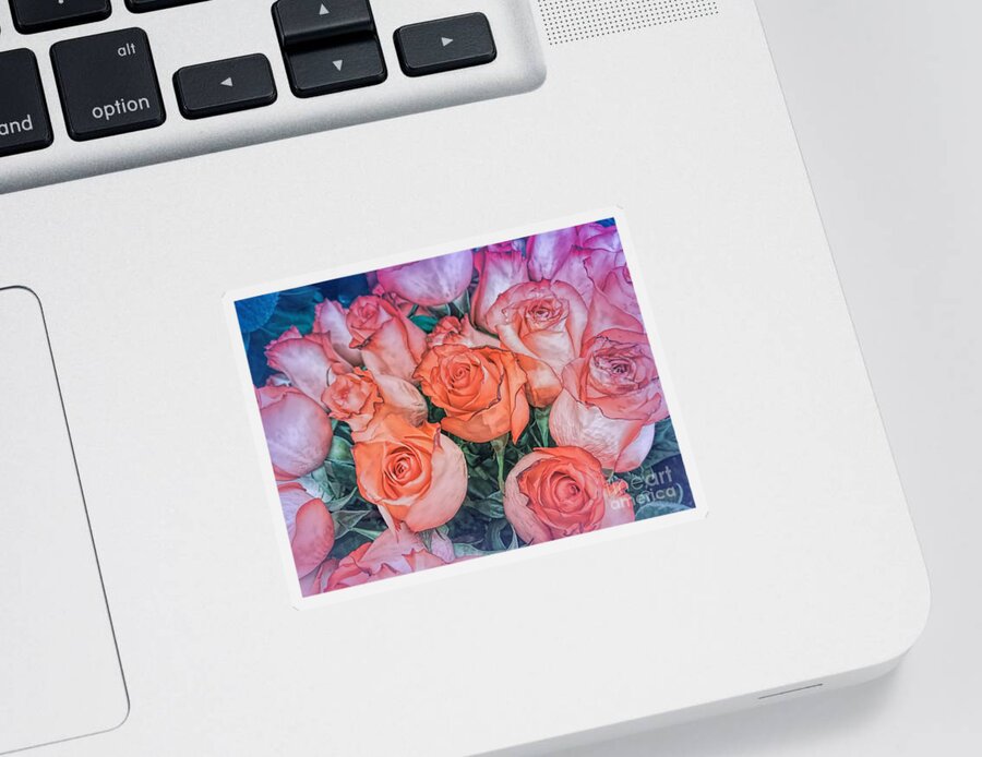 Roses Sticker featuring the photograph Valentines Day Roses by Janice Drew