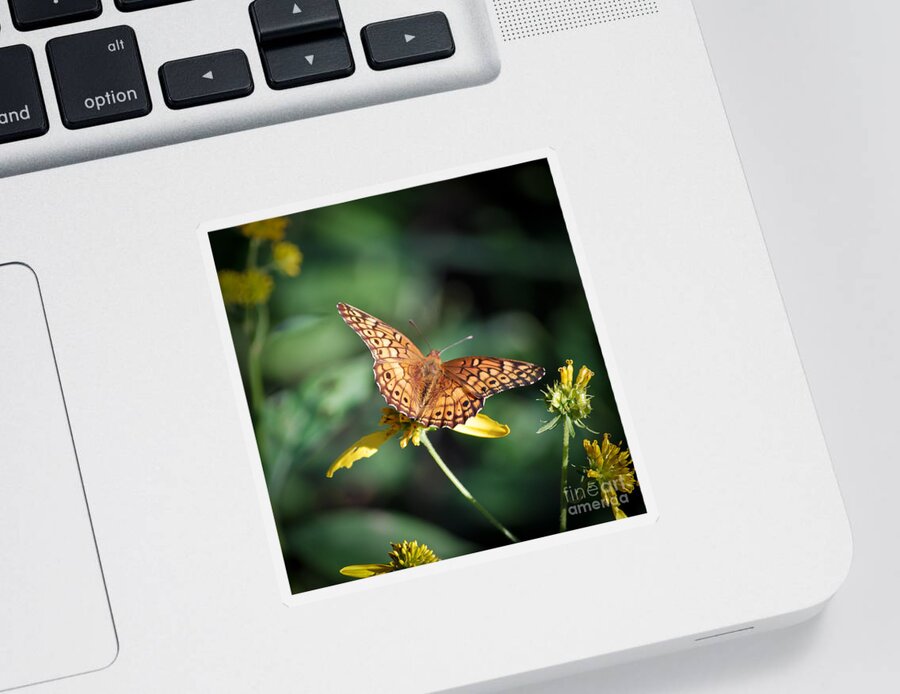 Butterfly Sticker featuring the photograph Variegated Fritillary Butterfly by Kerri Farley
