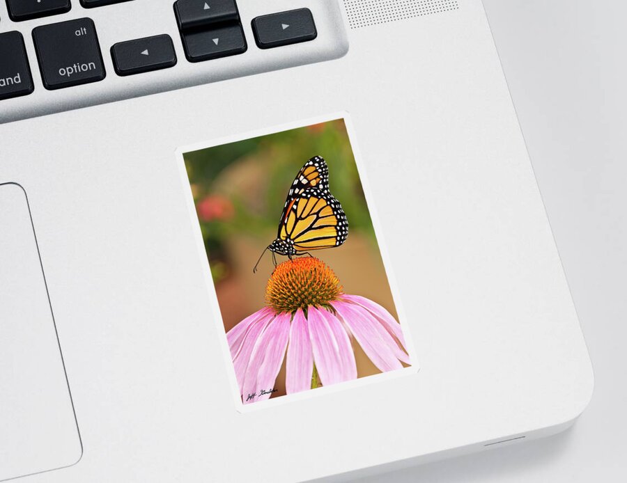 Animal Sticker featuring the photograph Monarch Butterfly on a Purple Coneflower by Jeff Goulden
