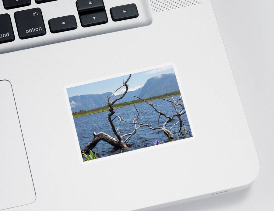 Western Brook Pond Sticker featuring the photograph View across the water by Agnes Caruso
