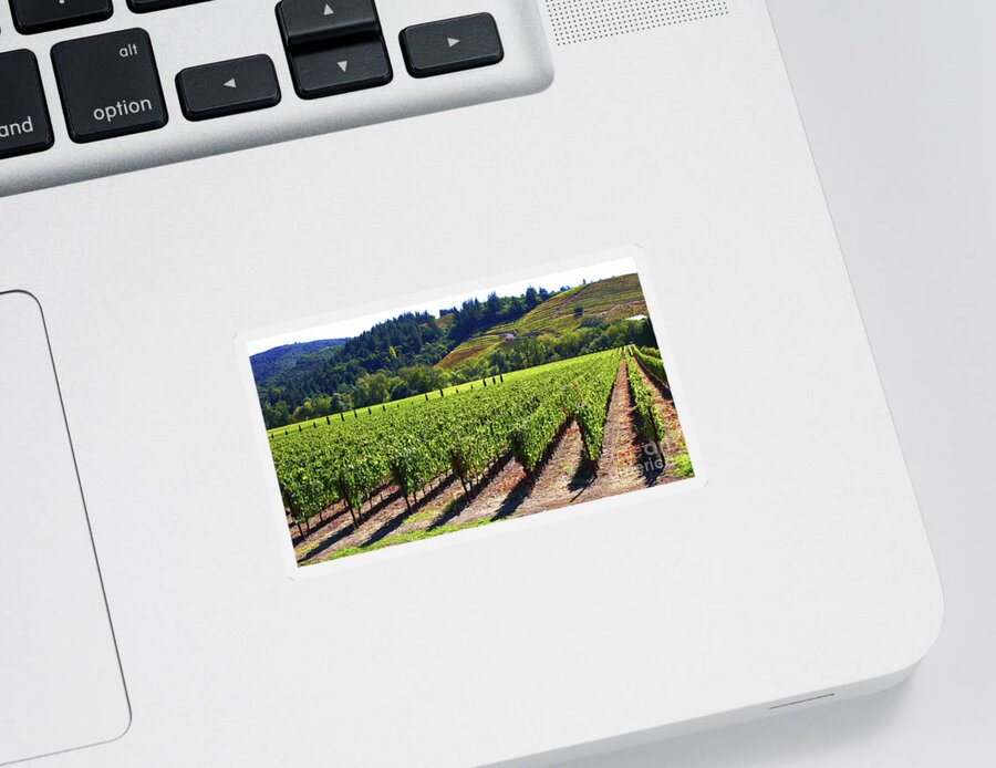 Vineyards Sticker featuring the photograph Vineyards in Sonoma County by Charlene Mitchell