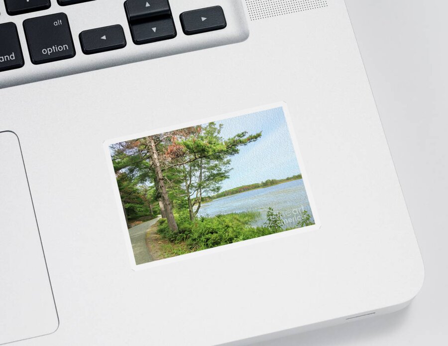 Witch Hole Pond Acadia National Park Sticker featuring the photograph Walking Around Witch Hole Pond by Elizabeth Dow