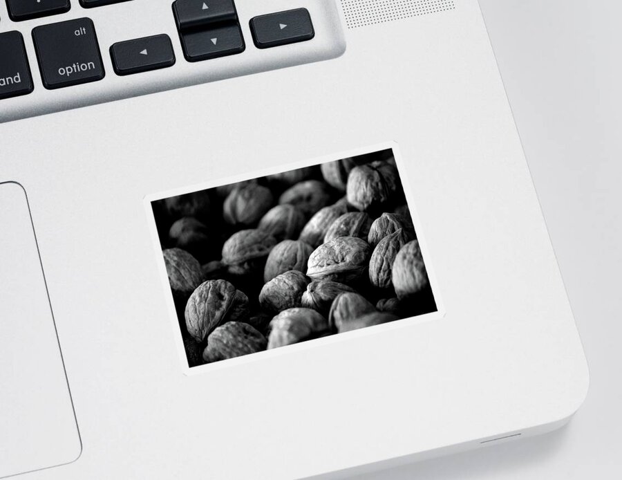 Walnuts Sticker featuring the photograph Walnuts Ready For Baking BW by Lesa Fine