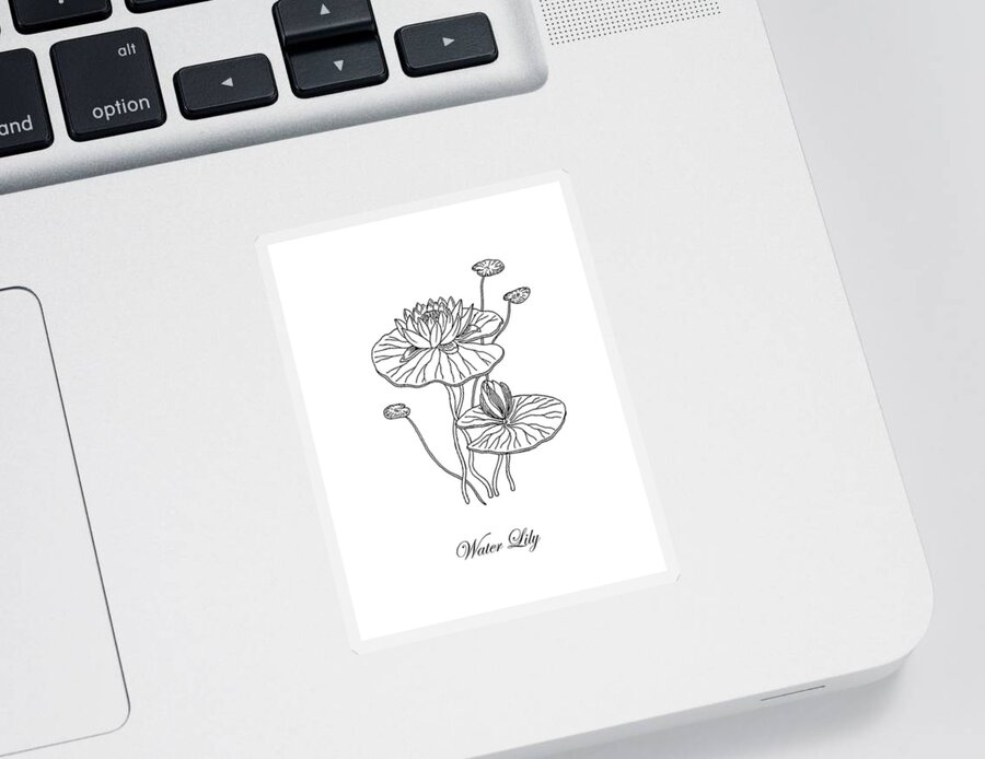 Water Lily Sticker featuring the drawing Water Lily Flower Botanical Drawing by Irina Sztukowski