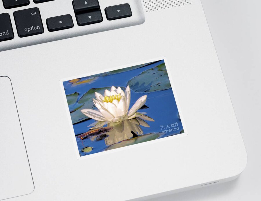 Janice Drew Sticker featuring the photograph Water Lily Reflection by Janice Drew
