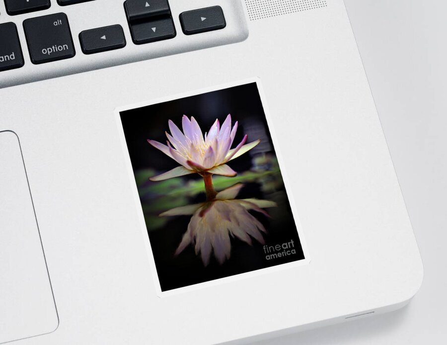 Floral Sticker featuring the photograph Water Lily by Savannah Gibbs