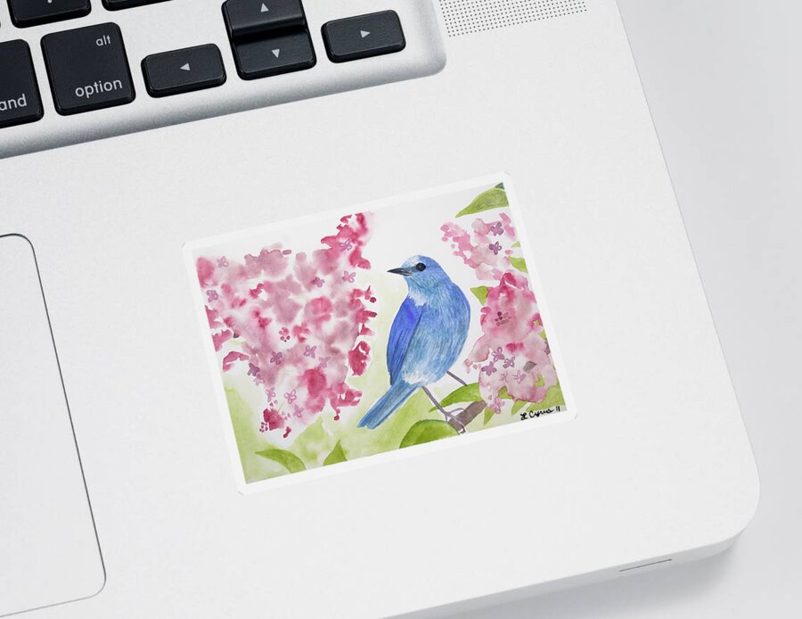 Mountain Bluebird Sticker featuring the painting Watercolor - Mountain Bluebird by Cascade Colors