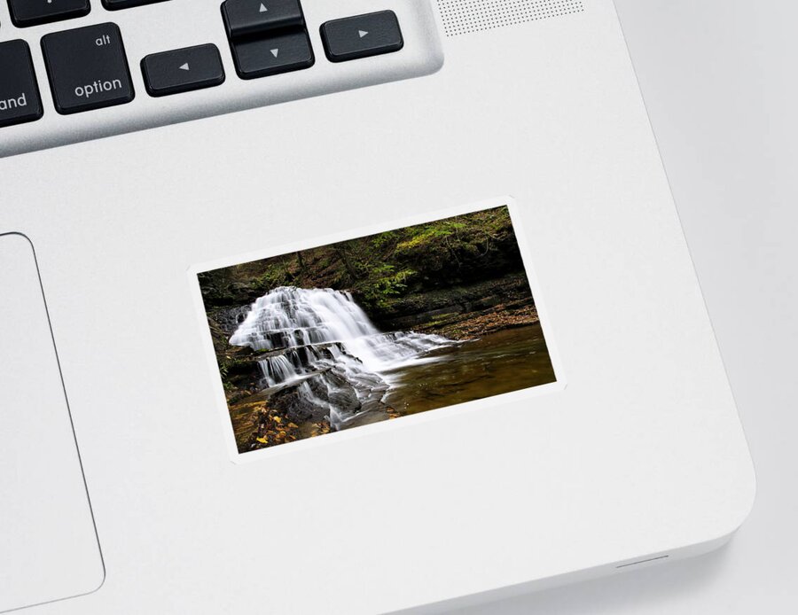 Waterfalls Sticker featuring the photograph Waterfall Cascade Salt Springs State Park by Christina Rollo
