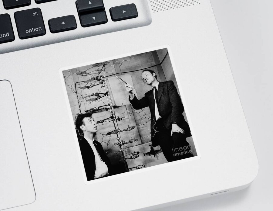 Watson Sticker featuring the photograph Watson and Crick by A Barrington Brown and Photo Researchers