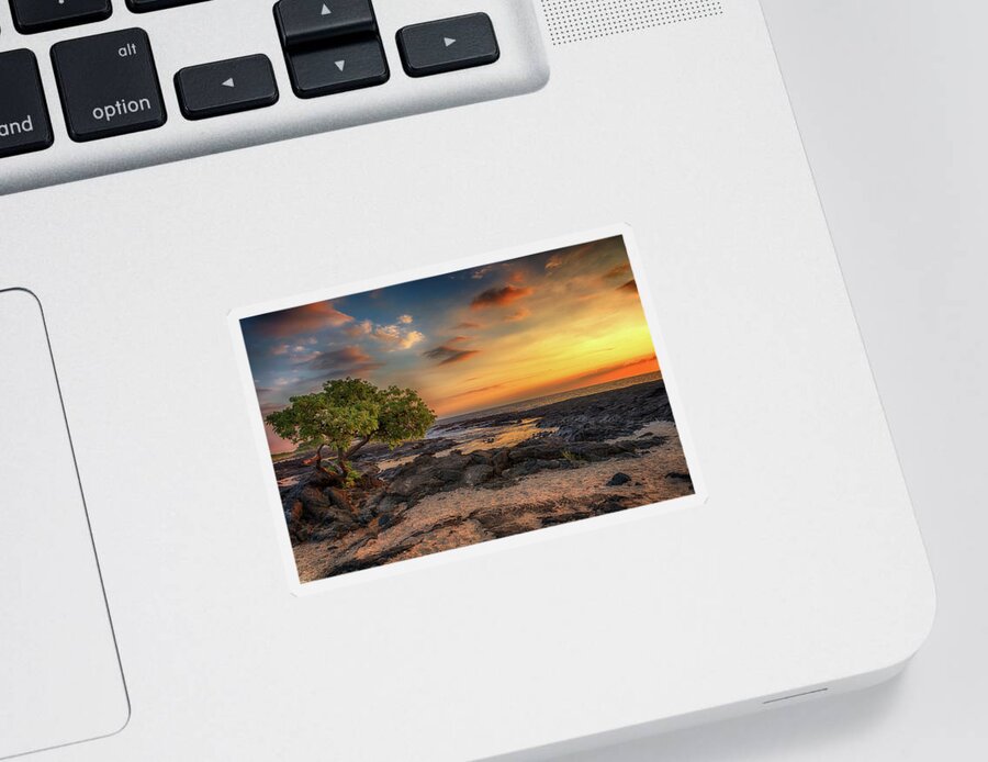 Sunset Sticker featuring the photograph Wawaloli Beach Sunset by Susan Rissi Tregoning