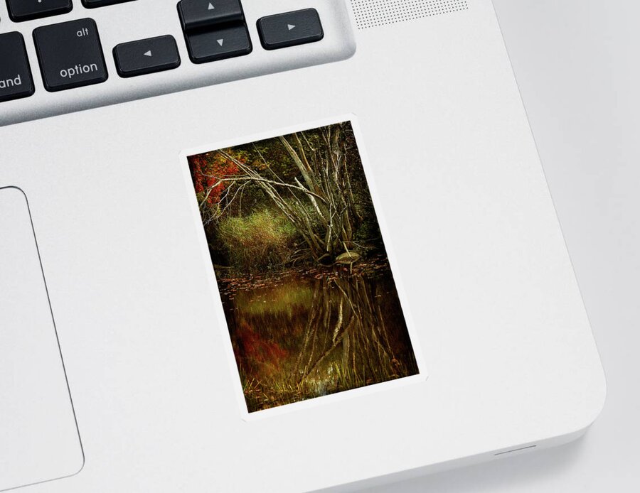 Cindi Ressler Sticker featuring the photograph Weeping Branch by Cindi Ressler
