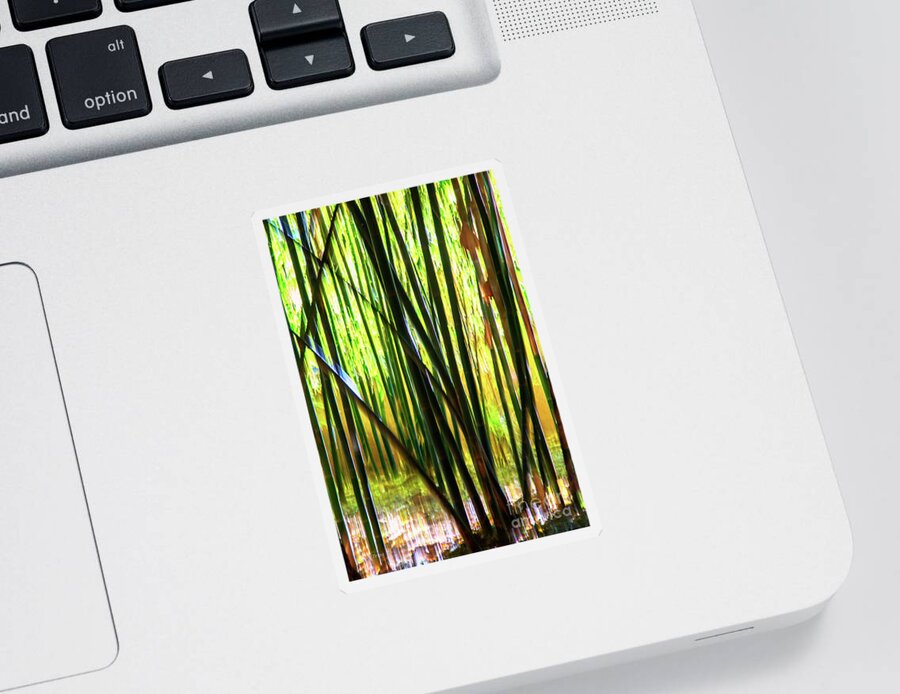Bamboo Sticker featuring the photograph Welcome to the Bamboo Jungle by Rene Triay FineArt Photos
