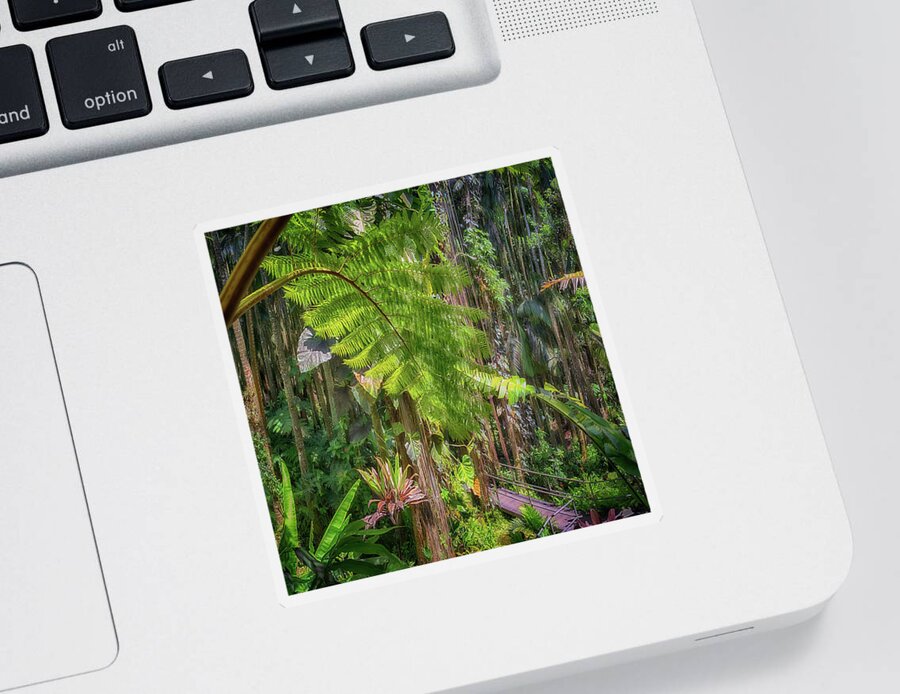 Hawaii Tropical Botanical Garden Sticker featuring the photograph Welcome to the Jungle 2 by Susan Rissi Tregoning