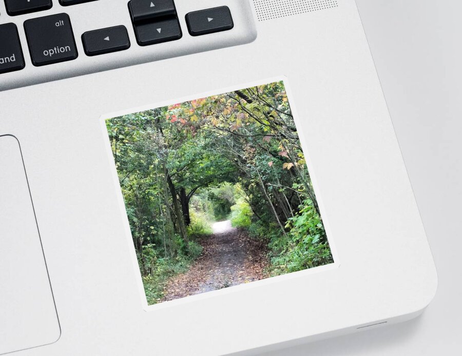 Path Sticker featuring the photograph Welcome to the Wooded Path by Vic Ritchey