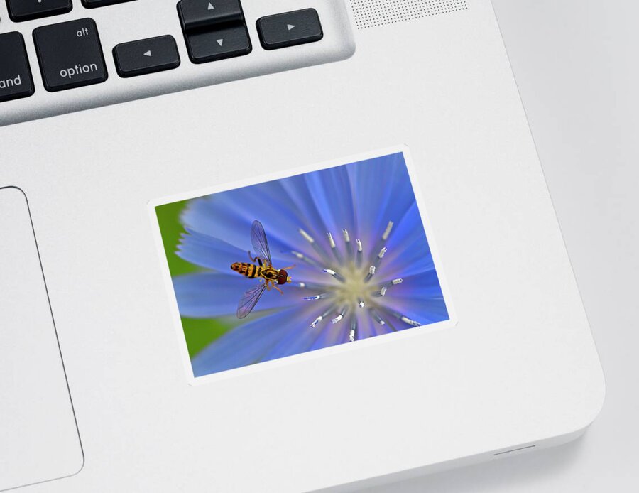 Hoverflies Sticker featuring the photograph Welcome by Tony Beck