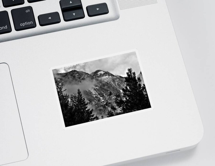 National Sticker featuring the photograph Wenatchee National Forest Black and White 2 by Pelo Blanco Photo