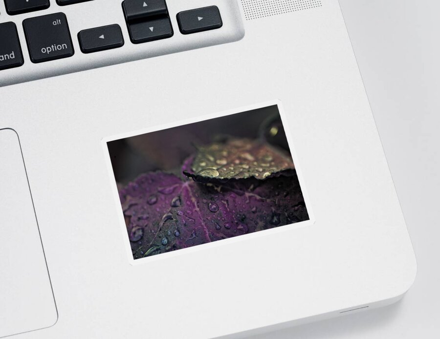Painted Photo Sticker featuring the painting Wet Purple Leaves by Bonnie Bruno
