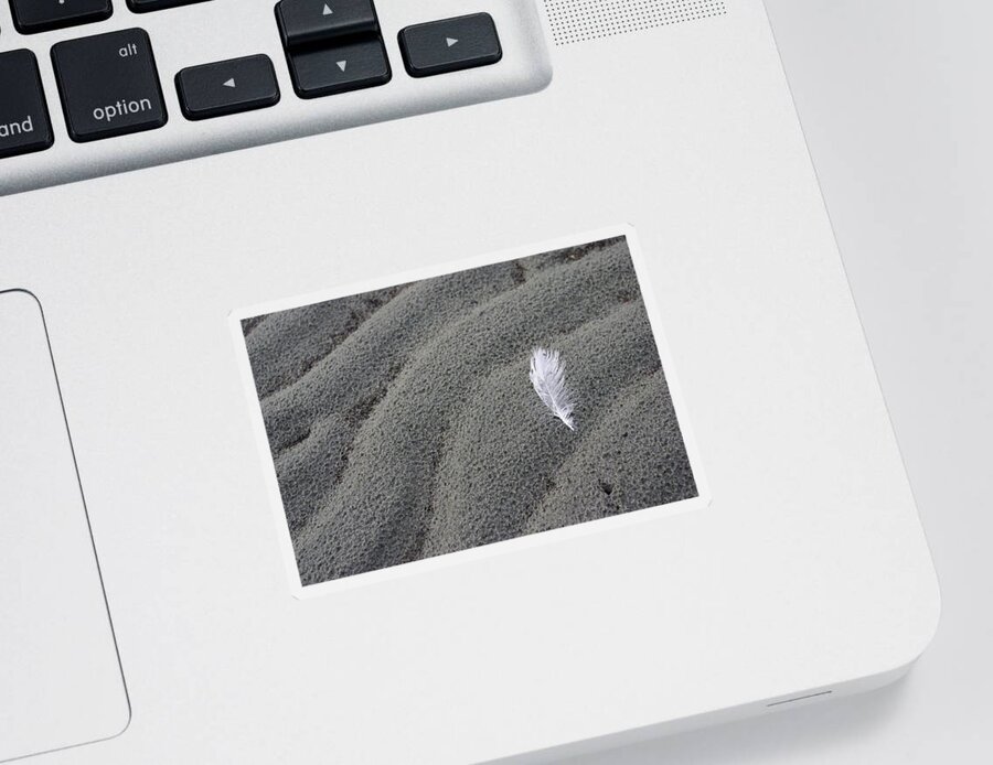 Feather Sticker featuring the photograph White Feather by Marilyn Wilson