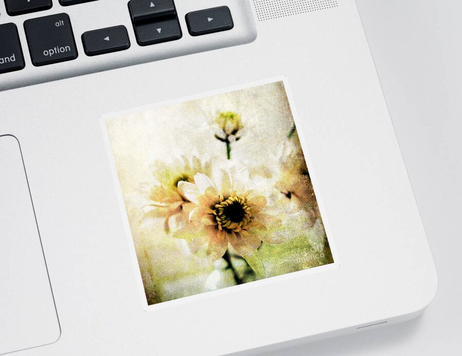 Flowers Sticker featuring the mixed media White Flowers by Linda Woods