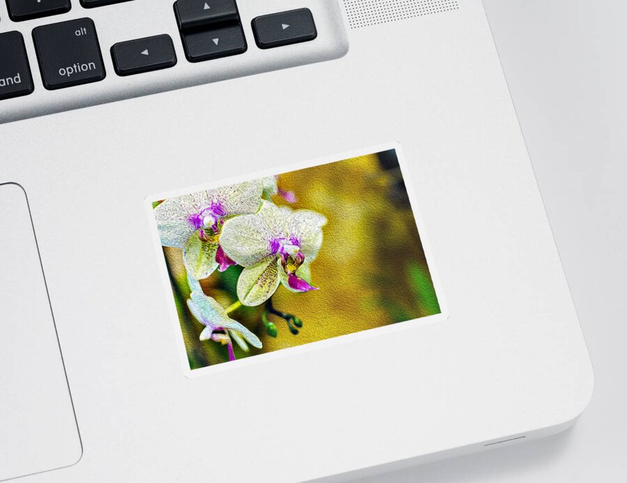 Flower Sticker featuring the photograph White Orchids Oil Painting Fusion by John Williams