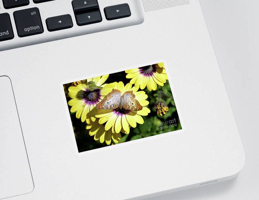 Denise Bruchman Sticker featuring the photograph White Peacock Butterfly II by Denise Bruchman