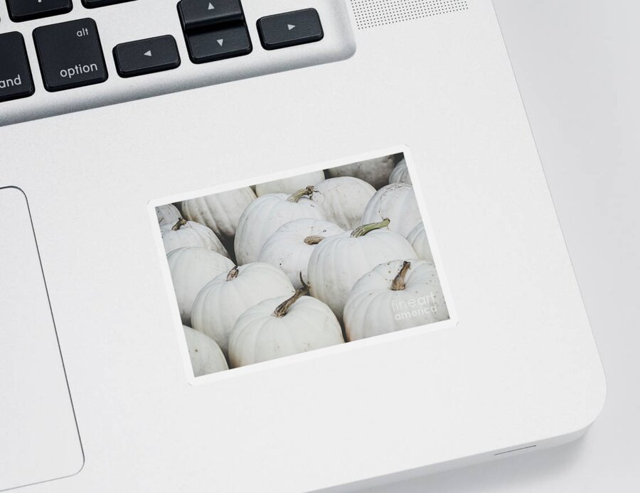 Holidays Sticker featuring the photograph White Pumpkins by Andrea Anderegg