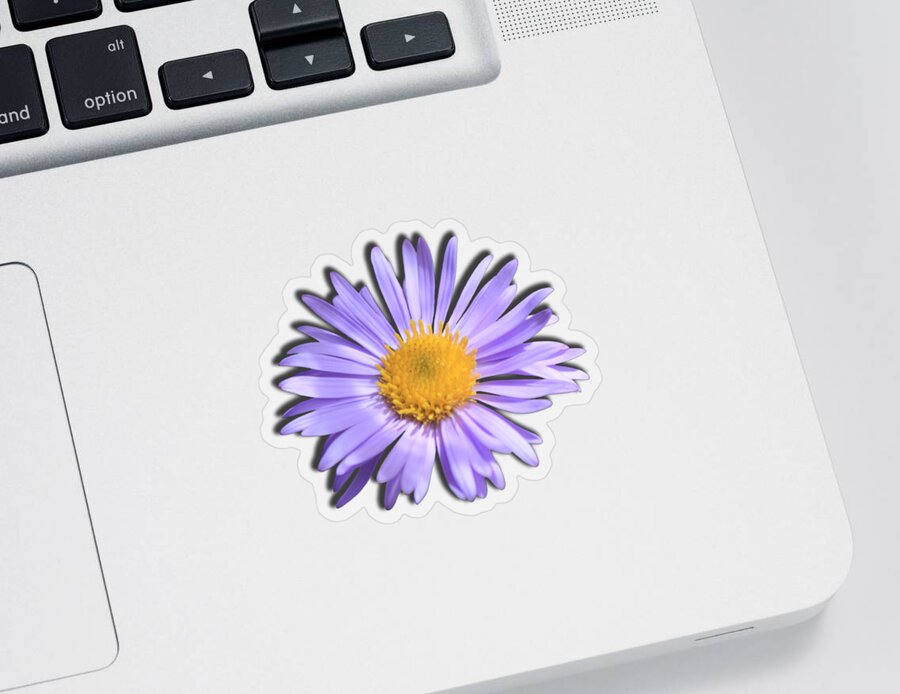 Daisy Sticker featuring the photograph Wild Daisy by Shane Bechler
