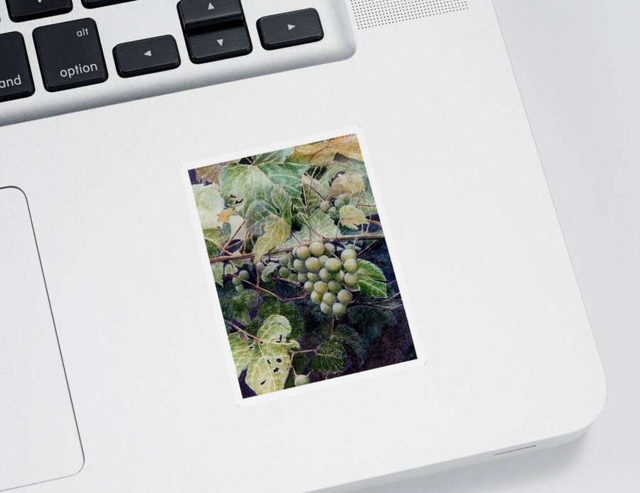 Green Sticker featuring the painting Wild grapes by Constance Drescher